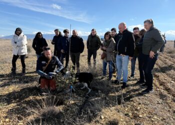 Instantes de la jornada celebrada en Espirdo / DIPUTACIÓN DE SEGOVIA