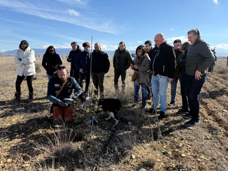 Instantes de la jornada celebrada en Espirdo / DIPUTACIÓN DE SEGOVIA