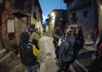 Grupo de participantes en la jornada / CODINSE