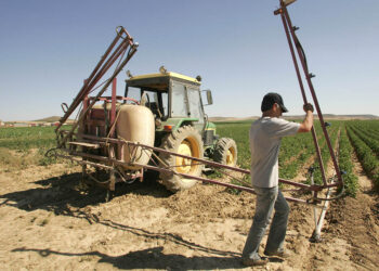 Labores de campo, en una imagen de archivo. / ICAL
