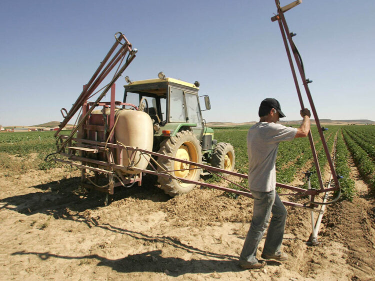 Alertan de robos en explotaciones agrarias de la provincia 1 Labores de campo, en una imagen de archivo. / ICAL