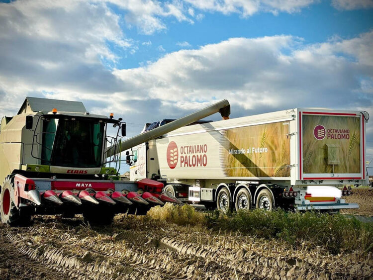 Actividad agríciola de la empresa segoviana Octaviano Palomo. / ICAL