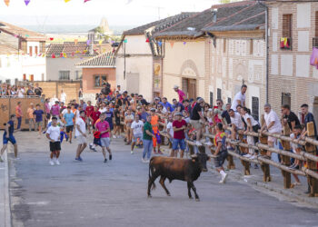 Capea en Sangarcía. / Miguel Ángel Fernández