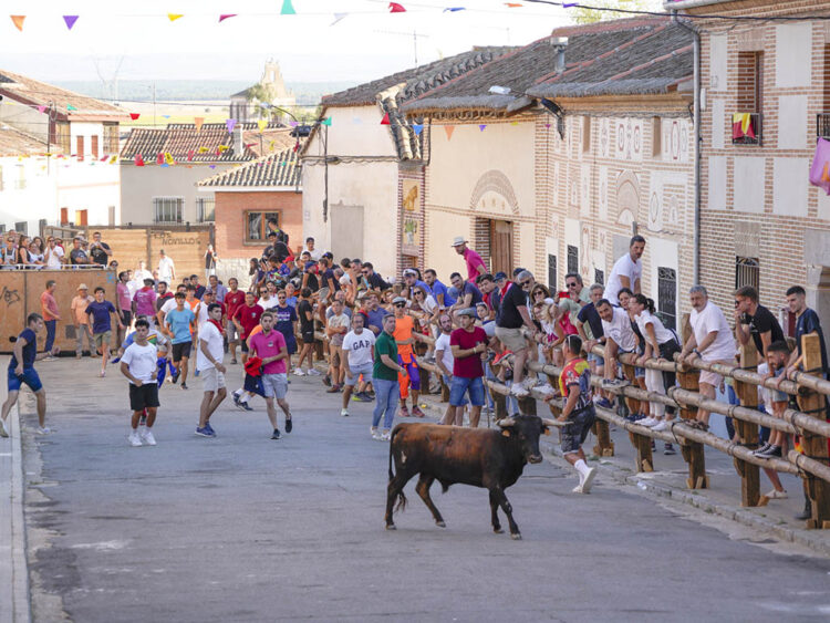 Capea en Sangarcía. / Miguel Ángel Fernández