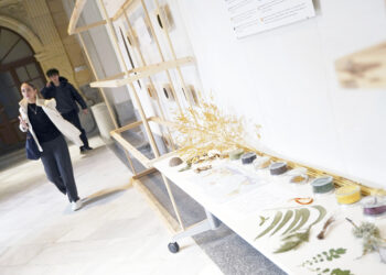 Exposición ‘Creando materiales para el Simbioceno’, en el campus de IE University. / ROBERTO ARRIBAS