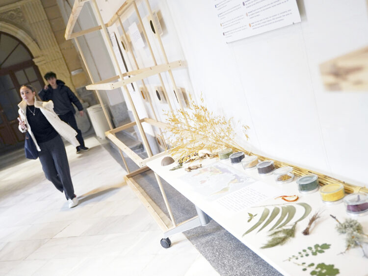 La relación entre los materiales y el entorno 1 Exposición ‘Creando materiales para el Simbioceno’, en el campus de IE University. / ROBERTO ARRIBAS