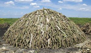 La disposición de las maderas en las carboneras permite controlar la combustión de la madera alternando el grosor de los diferentes trozos.