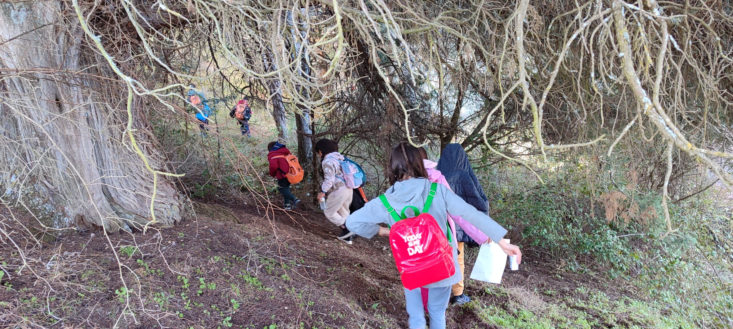 Instantes de la jornada de orientación / DIPUTACIÓN DE SEGOVIA