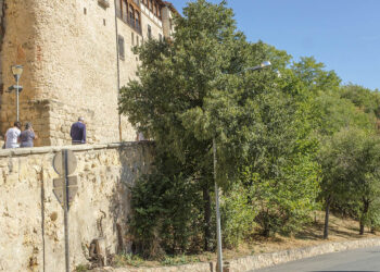 Los Tilos. / KAMARERO