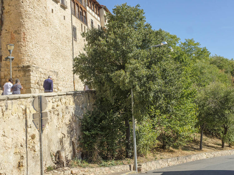 Los Tilos. / KAMARERO