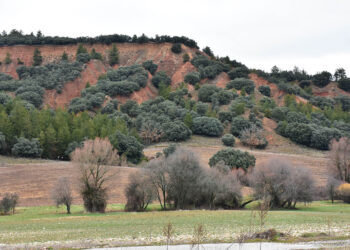 Aspecto actual de la anterior mina a cielo abierto en Castillejo de Mesleón. / A.M.