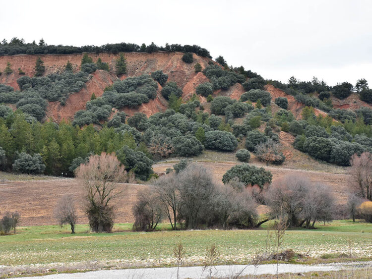 Erimsa reduce las hectáreas, pero no abandona el proyecto minero 1 Aspecto actual de la anterior mina a cielo abierto en Castillejo de Mesleón. / A.M.