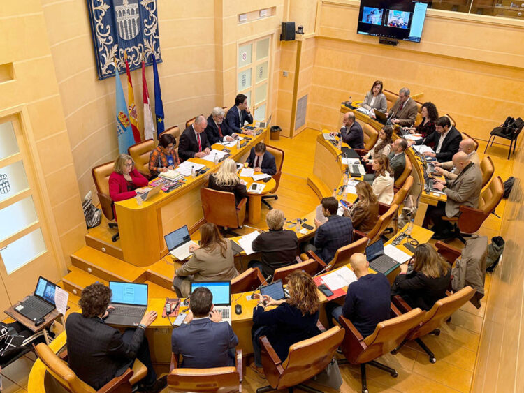 El Pleno aprueba la composición de la comisión de estudio para definir la participación en Segovia Intermodal 1 Pleno del Ayuntamiento de Segovia. / EL ADELANTADO