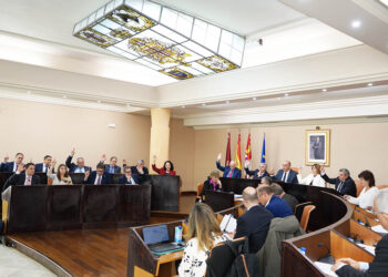 Votación en el Pleno de la Diputación de Segovia. / DIPUTACIÓN