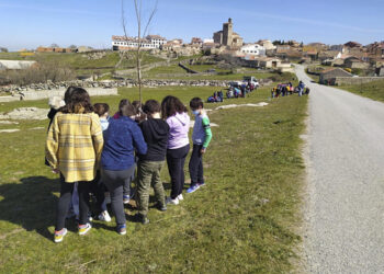 Plantación de árboles en años anteriores/ E.A.