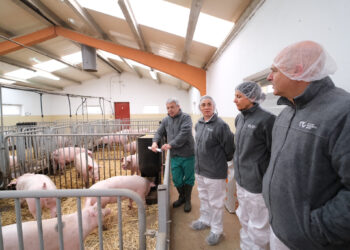 Visita de González Corral al Centro de Pruebas de Porcino de Hontalbilla / JCYL