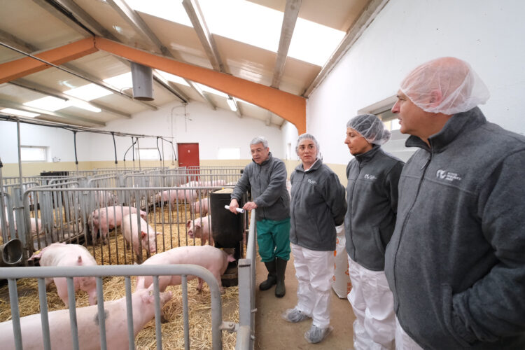 Inversión de 320.000 euros para impulsar proyectos en el Centro de Pruebas de Porcino de Hontalbilla 1 Visita de González Corral al Centro de Pruebas de Porcino de Hontalbilla / JCYL