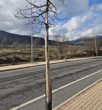 Entrada al municipio / AYTO. EL ESPINAR