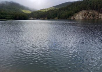 Presa de El Tejo en El Espinar / E.A.