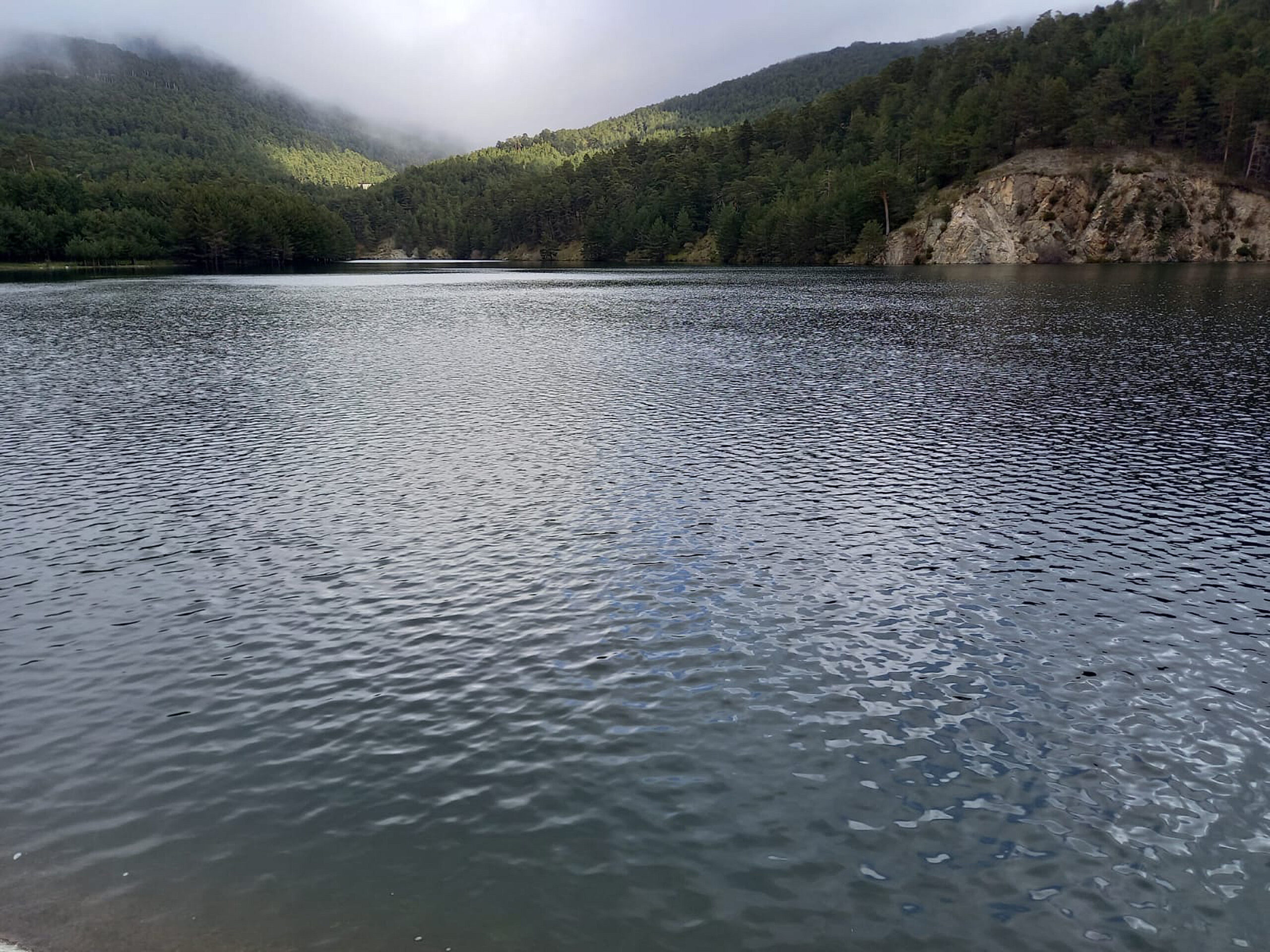 Prohíben recolectar setas en las inmediaciones de la presa de El Tejo de El Espinar 2 Foto de archivo. Presa de El Tejo / E.A.