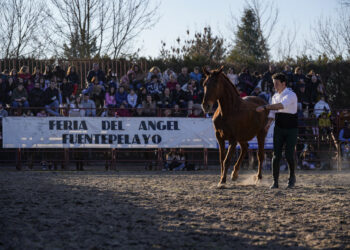 Feria del Caballo en años anteriores / E.A.