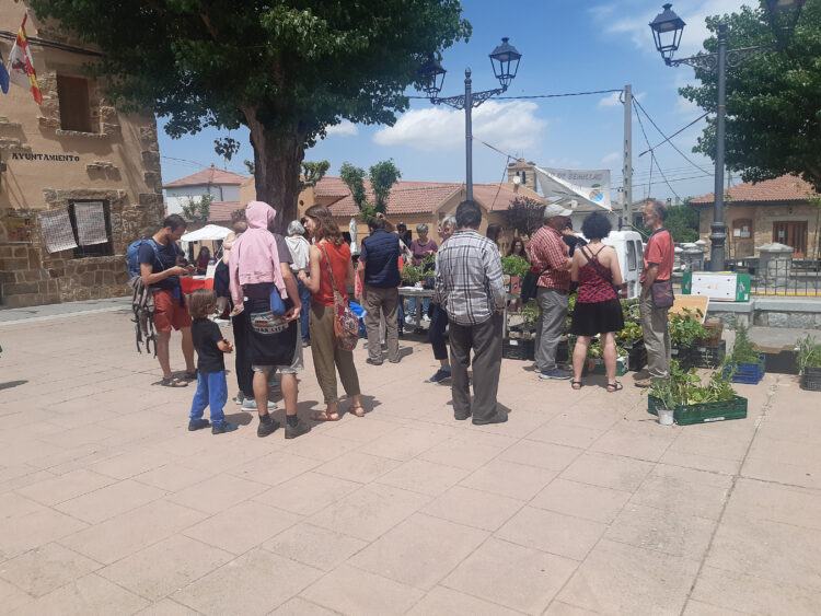 Abierta la convocatoria de subvenciones para asociaciones y grupos locales de La Losa 1 Foto de archivo. Actividad organizada por el AMPA en años anteriores / E.A.