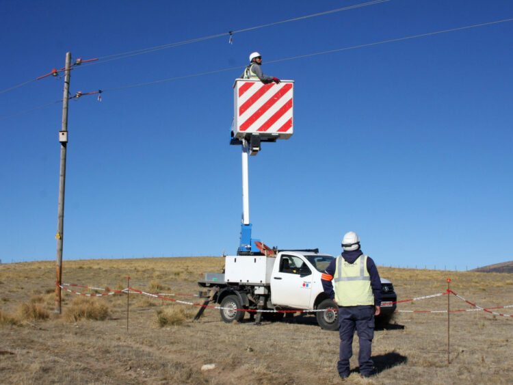 Desciende la mortalidad de aves en el Campo Azálvaro 1 Medidas de protección / E.A.