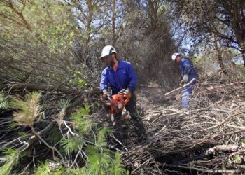 Foto de archivo. Labores preventivas contra incendios / MÍRIAM CHACÓN / ICAL