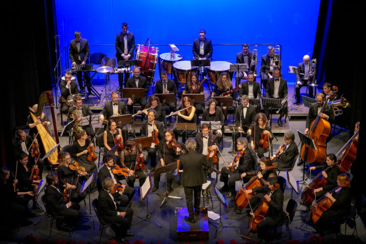 La Sinfónica abre la Semana de Música Sacra 1 La Orquesta Sinfónica de Segovia en una de sus actuaciones. / E.A