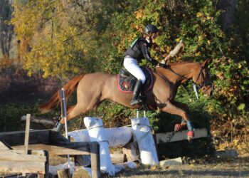 Una dupla participante en la prueba de Cross./ FEDERACIÓN