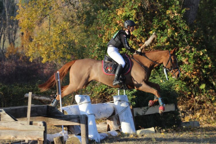 Una dupla participante en la prueba de Cross./ FEDERACIÓN