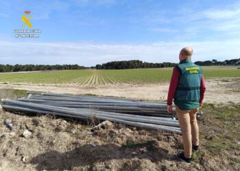 Un agente del equipo ROCA de la Guardia Civil, en Cuéllar./ GUARDIA CIVIL