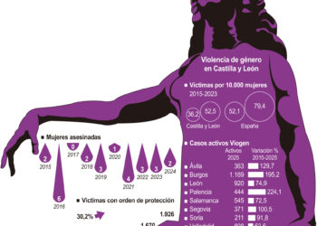 Estadística de la violencia de género en Castilla y León./ ICAL