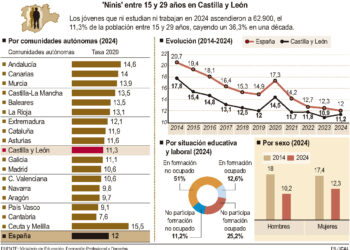 Estadística de jóvenes que no estudian ni trabajan. / ICAL