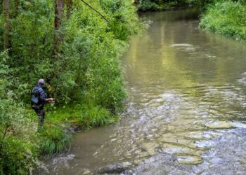 Foto: Miguel Ángel Fernández