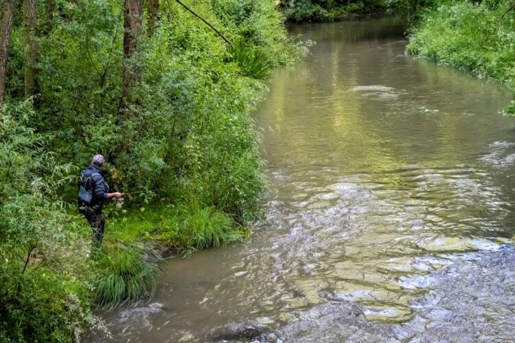 Foto: Miguel Ángel Fernández