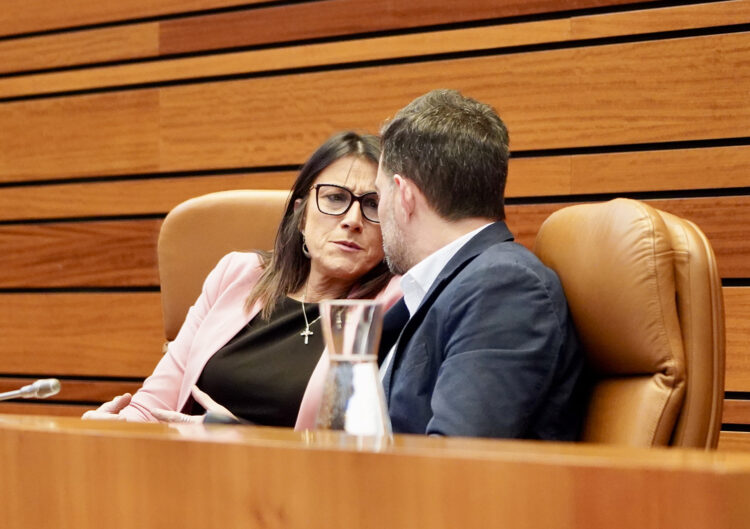 Los socialistas Ana Sánchez y Diego Moreno en las Cortes, durante el Debate de política general. / Leticia Pérez