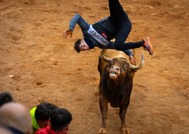 Tres heridos por asta de toro en el Carnaval del Toro de Ciudad Rodrigo 1 Hubo que suspender los festejos, ya que el quirófano estuvo permanentemente ocupado por alguno de los heridos. / Vicente