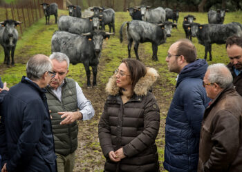 María González Corral inaugura las IV Jornadas de carne de buey Morucho. / Vicente