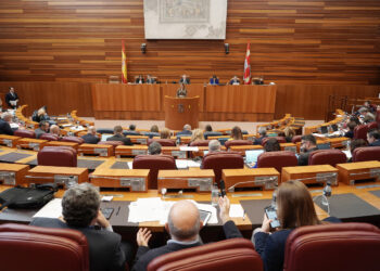 Segunda jornada de Pleno en las Cortes de Castilla y León. / Rubén Cacho