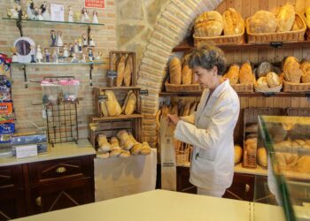 Los autónomos y Pymes son los tipos de sociedad mercantil más numerosa en Segovia.