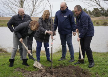 Plantación de una treintena de árboles en Martín Muñoz de las Posadas / DIPUTACIÓN DE SEGOVIA