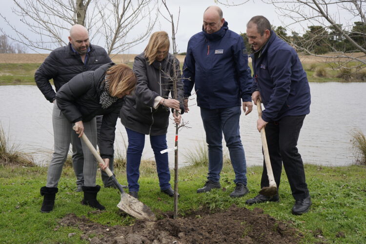 Plantación de una treintena de árboles en Martín Muñoz de las Posadas / DIPUTACIÓN DE SEGOVIA