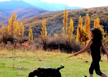 Actividades este fin de semana / DIPUTACIÓN DE SEGOVIA