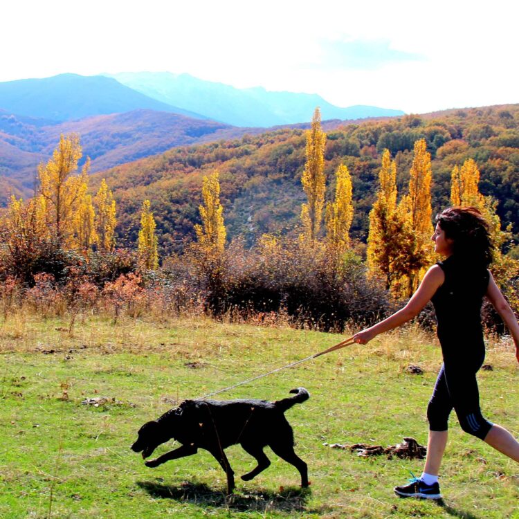 Las alternativas de ocio ambiental protagonizan los planes en la provincia este fin de semana 1 Actividades este fin de semana / DIPUTACIÓN DE SEGOVIA