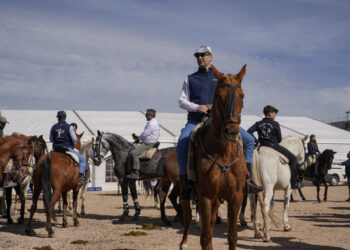 Vista de la Feria del Caballo en La Lastrilla / E.A.