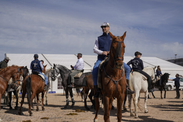 Vista de la Feria del Caballo en La Lastrilla / E.A.