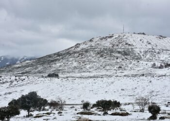 Nieve en la Sierra de Guadarrama durante la mañana de ayer