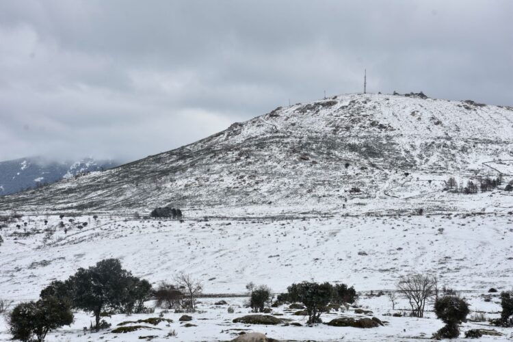 Nieve en la Sierra de Guadarrama durante la mañana de ayer