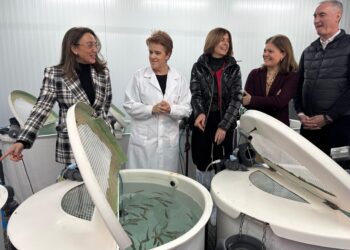 (izq. a dcha.)Magdalena Rodríguez, José Mazarías y María González Corral en un momento de la visita. / Nacho Valverde- ICAL